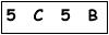 salt-D378C3B1