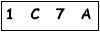 salt-BCA62886