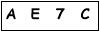 salt-BD8A3212