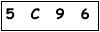 salt-CA7956BB