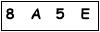 salt-0E9F204B