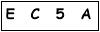 salt-515F6F5B