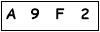 salt-FF19D61E