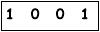 salt-A94C2646