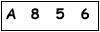 salt-523D3F4C