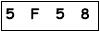 salt-6ACFC576