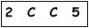 salt-1FC26213