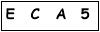 salt-59623ECE