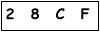 salt-563D3098
