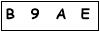 salt-594AAEAD