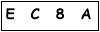 salt-9E2D23B9