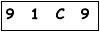 salt-956CF24D