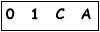 salt-705F0670