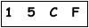 salt-AA484146