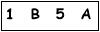salt-9F8C5557