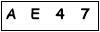 salt-2479204B
