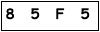 salt-45B1EA25