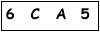 salt-1B9FBC33