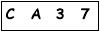 salt-781BA9B2