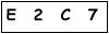 salt-89C5F8DA