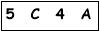 salt-261C7188