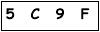 salt-6595EDFF