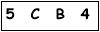 salt-D4C3585F
