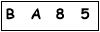 salt-554EE56C