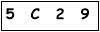 salt-561C6CA0