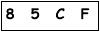salt-5EAA2CCB