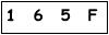 salt-531A6A25