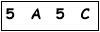 salt-980A8087