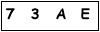 salt-1AEC7496