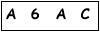 salt-438E29A1