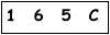 salt-167EB3EA