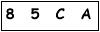 salt-7DFFCD74