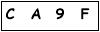 salt-673FB68D
