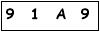 salt-2480178E