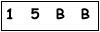 salt-864A5061