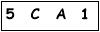 salt-B94C1202
