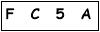 salt-D59B5590