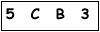 salt-81FC6789
