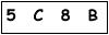 salt-66B085A3