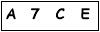 salt-76509B42