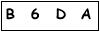 salt-212A4568