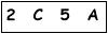 salt-C9575154