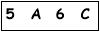salt-177C4624