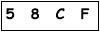 salt-78F2CE53