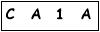 salt-0C27198A
