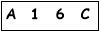 salt-0562C1B4
